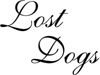 Click here to enter the ultimate Lost Dogs fan site--with news, discography & lyrics, concert information, guestbook, and more!